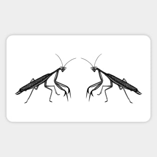 Praying Mantises in Love - cute and fun animal design on white Magnet
